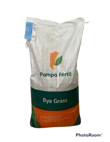 Producto Rye Grass Anual Tetraploide Pampa INTA Imagen 2