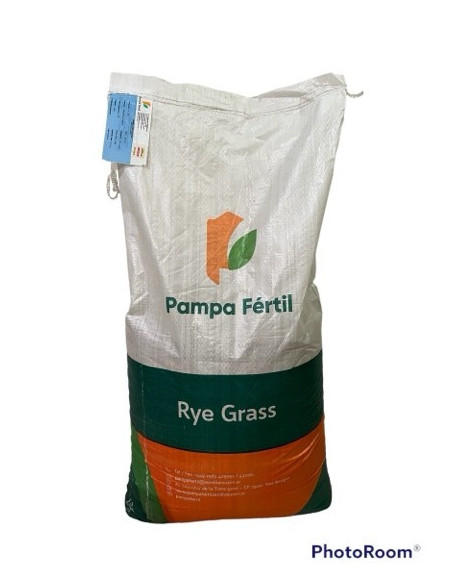 Producto Rye Grass Anual Tetraploide Pampa INTA Imagen 2