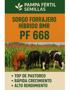 Sorgo PF 668 BMR - PAMPA FERTIL | Pampa Fértil Semillas