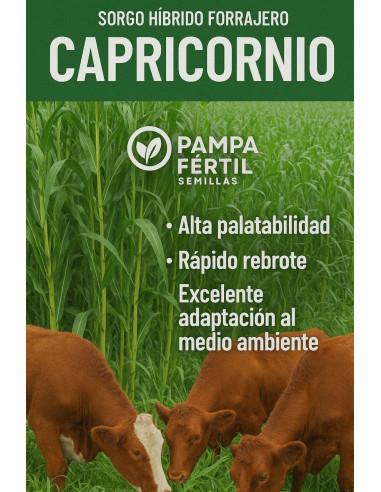 Sorgo Forrajero Capricornio Pampa Fertil - PAMPA FERTIL | Pampa Fértil Semillas
